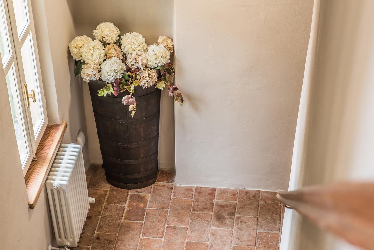 B&B Antico Tralcio Antignano  ภายนอก รูปภาพ