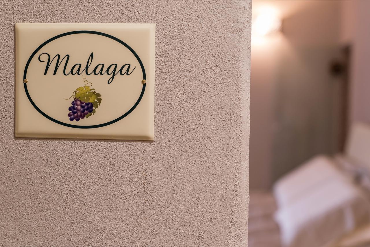 B&B Antico Tralcio Antignano  ภายนอก รูปภาพ